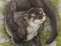 miniotter.jpg